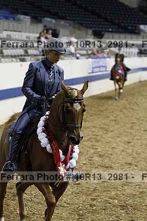 Proof Number 10r13_2981