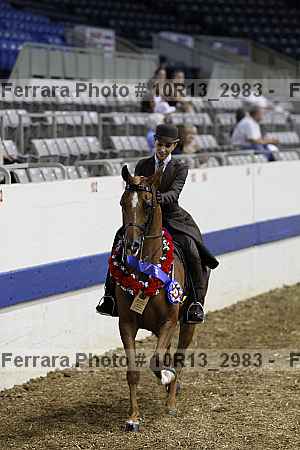 Proof Number 10r13_2983