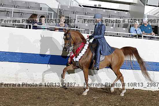 Proof Number 10r13_2987