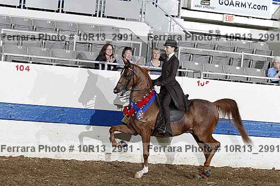 Proof Number 10r13_2991