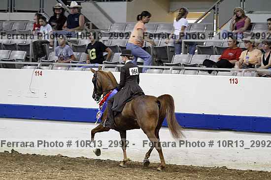 Proof Number 10r13_2992