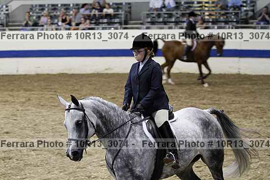 Proof Number 10r13_3074