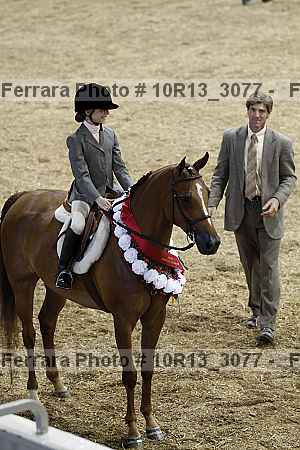Proof Number 10r13_3077