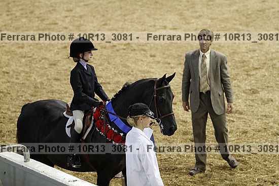 Proof Number 10r13_3081