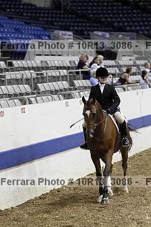 Proof Number 10r13_3086