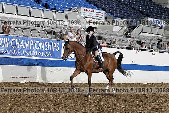 Proof Number 10r13_3088