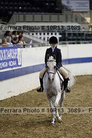 Proof Number 10r13_3089