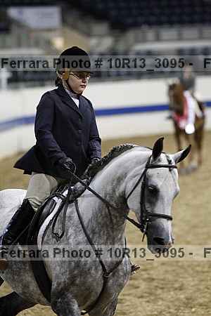 Proof Number 10r13_3095
