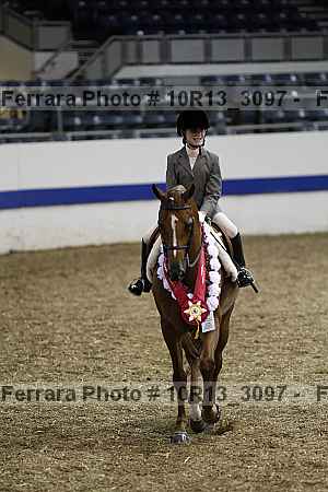 Proof Number 10r13_3097