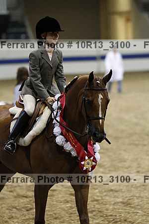 Proof Number 10r13_3100