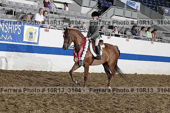 Proof Number 10r13_3104