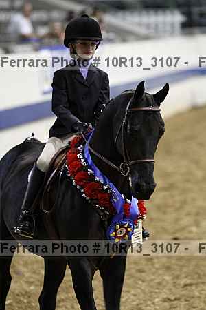 Proof Number 10r13_3107