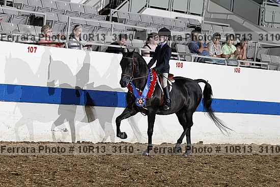 Proof Number 10r13_3110
