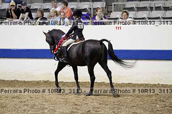 Proof Number 10r13_3113