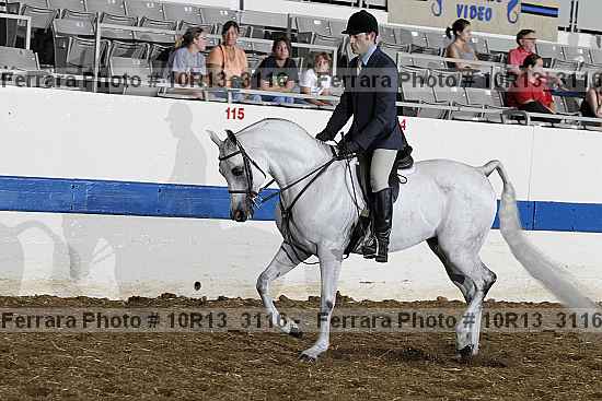 Proof Number 10r13_3116