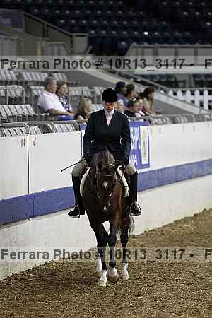 Proof Number 10r13_3117