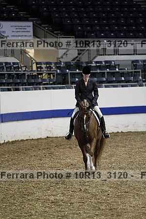 Proof Number 10r13_3120