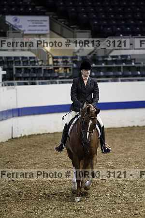Proof Number 10r13_3121
