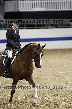 Proof Number 10r13_3122