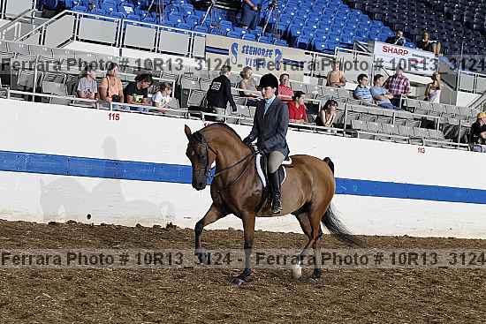 Proof Number 10r13_3124