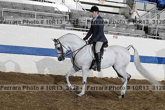 Proof Number 10r13_3128