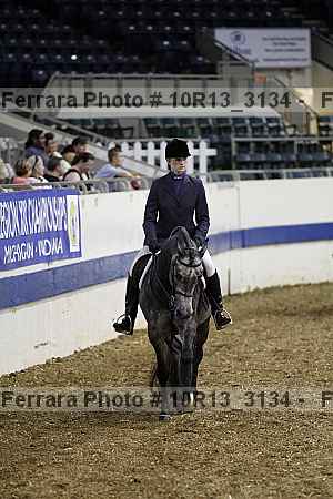 Proof Number 10r13_3134