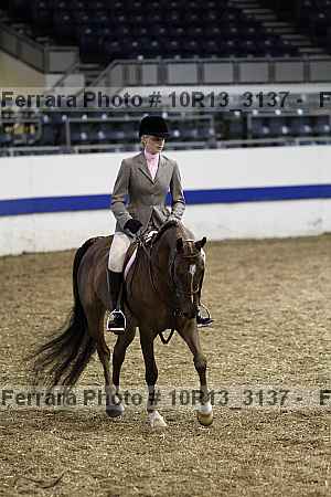 Proof Number 10r13_3137