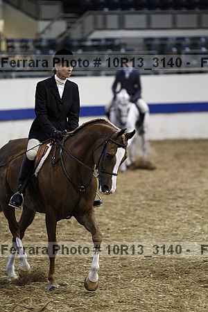 Proof Number 10r13_3140