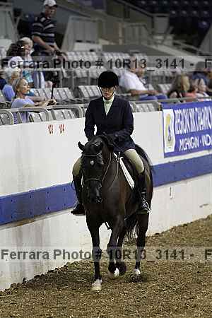 Proof Number 10r13_3141