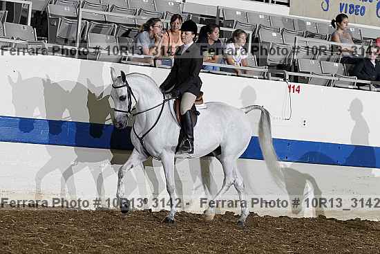 Proof Number 10r13_3142