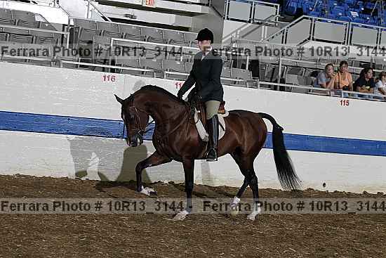 Proof Number 10r13_3144