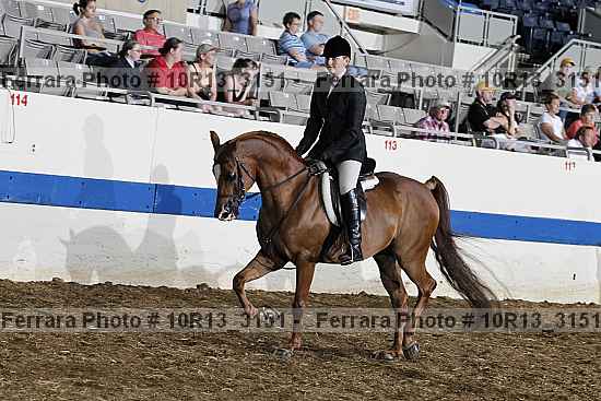 Proof Number 10r13_3151
