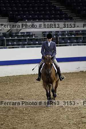 Proof Number 10r13_3153