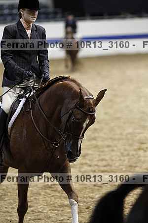 Proof Number 10r13_3160