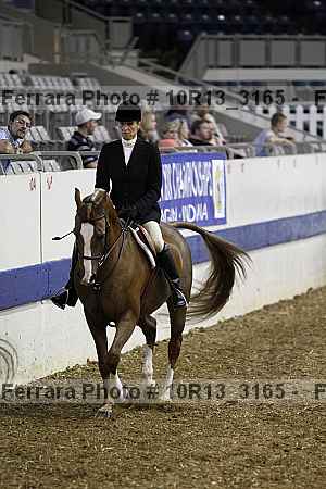 Proof Number 10r13_3165