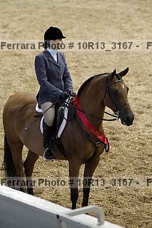 Proof Number 10r13_3167