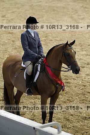 Proof Number 10r13_3168