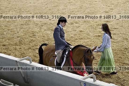 Proof Number 10r13_3169