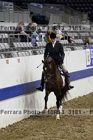 Proof Number 10r13_3181