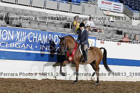 Proof Number 10r13_3190