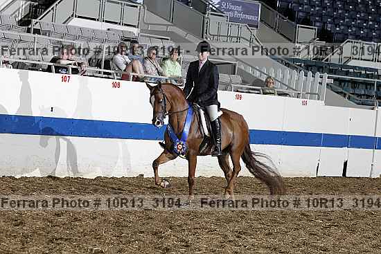 Proof Number 10r13_3194