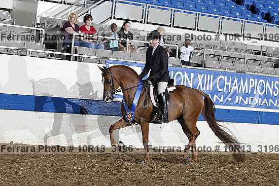 Proof Number 10r13_3196