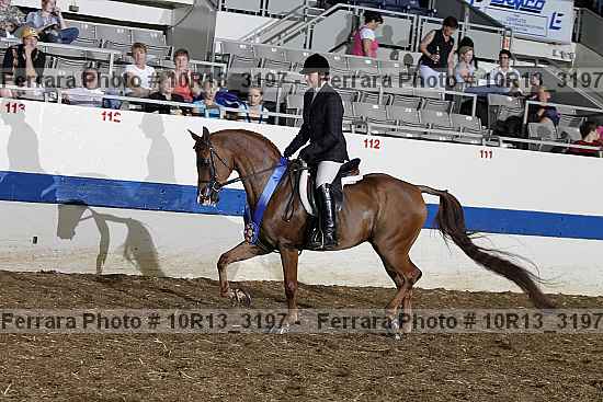Proof Number 10r13_3197