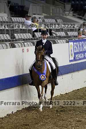 Proof Number 10r13_3222