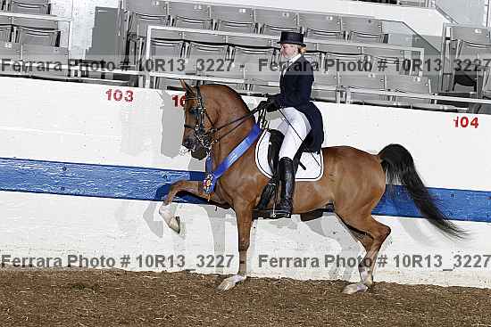 Proof Number 10r13_3227