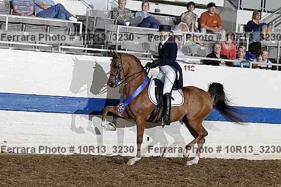Proof Number 10r13_3230