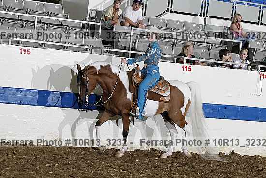 Proof Number 10r13_3232