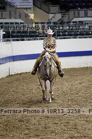 Proof Number 10r13_3258