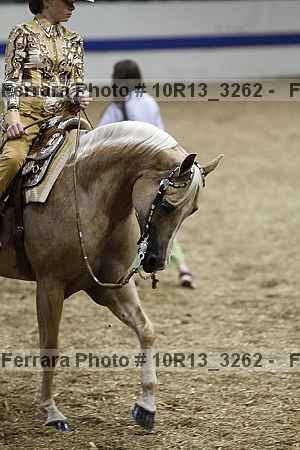 Proof Number 10r13_3262