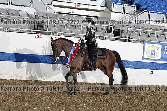 Proof Number 10r13_3272